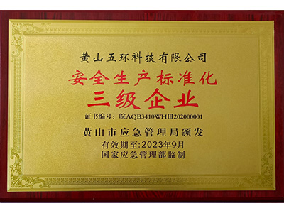 安全生產(chǎn)標(biāo)準(zhǔn)三級企業(yè) 
