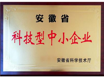 科技型中小企業(yè)